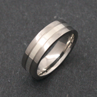 Titanium Ring - Silver Qar